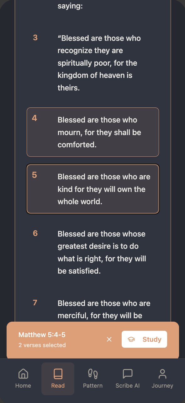 Praxis Read screen with Matthew 5 verses four and five selected for study